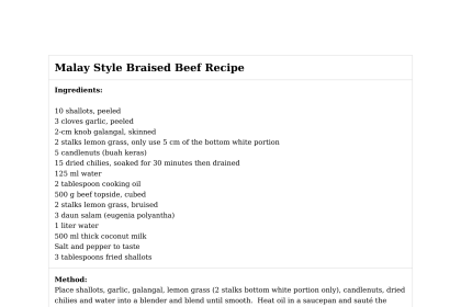 Malay Style Braised Beef Recipe